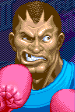 boxer portrait