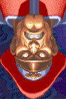 dictator portrait