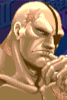 sagat portrait