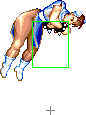 1040-spinning_bird_kick