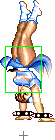 1040-spinning_bird_kick