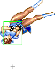 1040-spinning_bird_kick