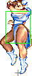 1040-spinning_bird_kick