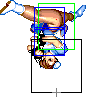 1140-aerial_spinning_bird_kick