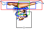 1140-aerial_spinning_bird_kick