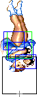 1140-aerial_spinning_bird_kick