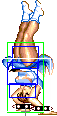 1140-aerial_spinning_bird_kick