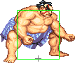 1040-sumo_splash_short_forward