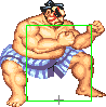 1040-sumo_splash_short_forward