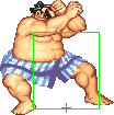 1040-sumo_splash_short_forward