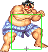 1040-sumo_splash_short_forward