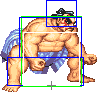 1060-sumo_splash_roundhouse