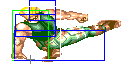 0064-crouching_roundhouse