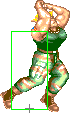 1040-flashkick_forward_roundhouse