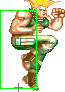 1040-flashkick_forward_roundhouse
