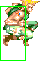 1040-flashkick_forward_roundhouse