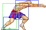 1010-tiger_shot_jab