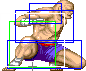 1021-low_tiger_shot_forward