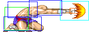 1021-low_tiger_shot_forward