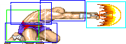1021-low_tiger_shot_forward