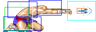 1021-low_tiger_shot_forward
