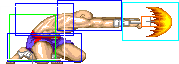 1022-low_tiger_shot_roundhouse