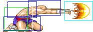 1022-low_tiger_shot_roundhouse