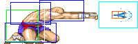 1022-low_tiger_shot_roundhouse