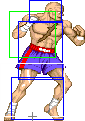 1040-tiger_knee