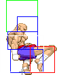 1040-tiger_knee