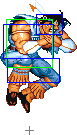 0160-diagonal_jump_roundhouse