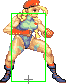 2000-super