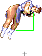 1040-spinning_bird_kick