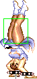 1040-spinning_bird_kick