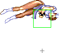 1040-spinning_bird_kick