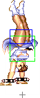 1040-spinning_bird_kick