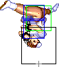 1140-aerial_spinning_bird_kick