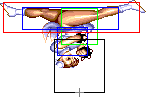 1140-aerial_spinning_bird_kick