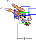 1140-aerial_spinning_bird_kick
