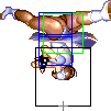 1140-aerial_spinning_bird_kick