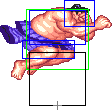 0155-flying_sumo_press