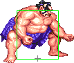 1040-sumo_splash_short_forward