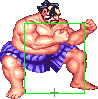 1040-sumo_splash_short_forward