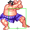 1040-sumo_splash_short_forward