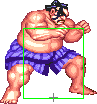 1040-sumo_splash_short_forward