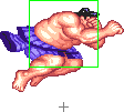 1040-sumo_splash_short_forward