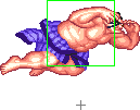 1040-sumo_splash_short_forward
