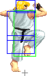 0160-neutral_jump_roundhouse