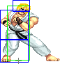 1010-hadoken