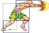 1010-tiger_shot_jab